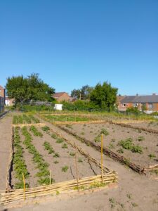 {"capture_mode":"AutoModule","faces":[]}