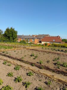 {"capture_mode":"AutoModule","faces":[]}