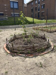 jardin formatif 5